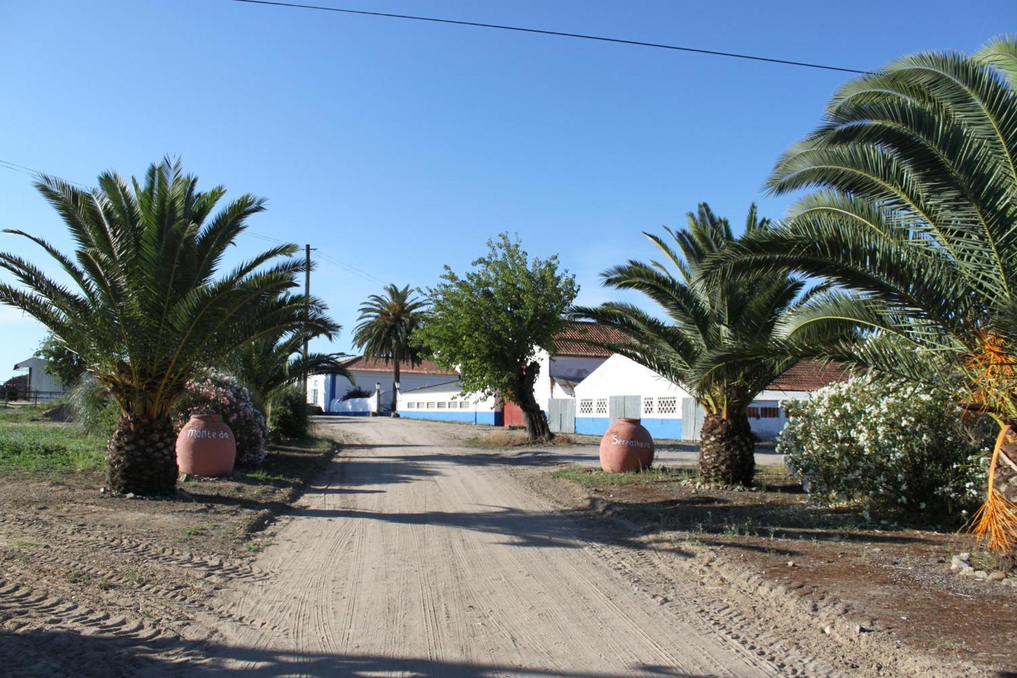 Monte Da Serralheira Agro Turismo Évora Exterior foto