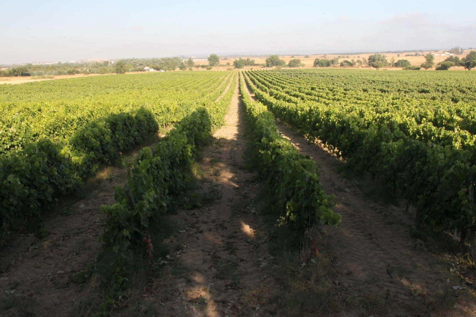 Monte Da Serralheira Agro Turismo Évora Exterior foto
